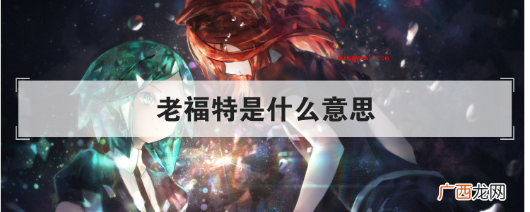 老福特是什么意思