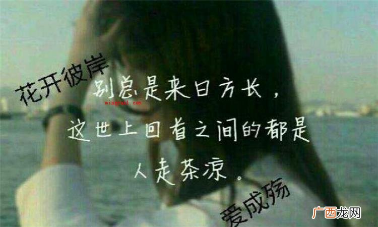 殇是什么意思