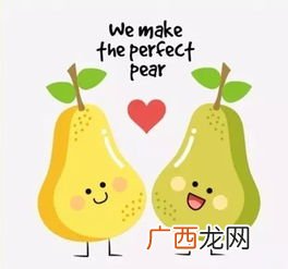 pair是什么意思,pair有一条的意思吗？