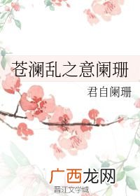 阑珊是什么意思,灯火再阑珊是什么意思？