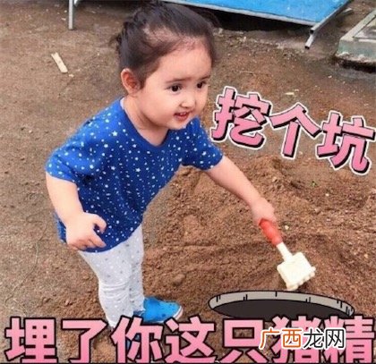 猪精是什么意思什么梗 猪精可以辟邪吗