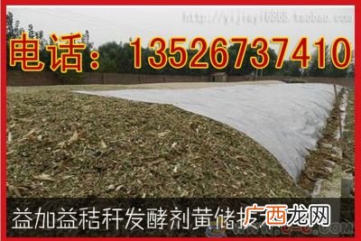黄贮秸秆发酵制作方法,黄贮一亩能有多少吨?