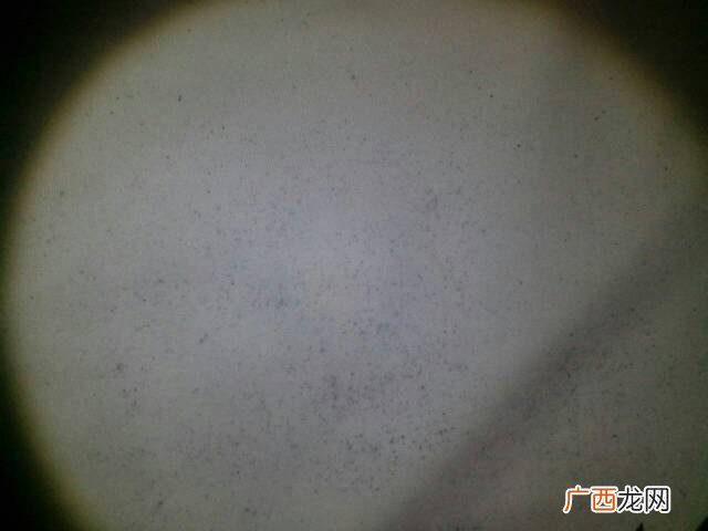 汗迹用什么可以洗掉,怎样把出了汗后，衣服后的霉点去除？