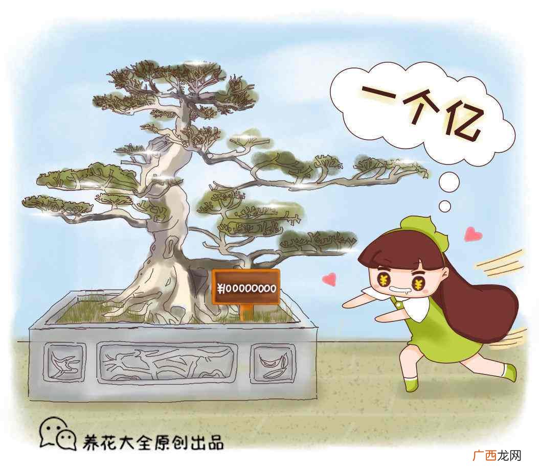 人民币上的花都是些什么花 人民币上的花是什么花