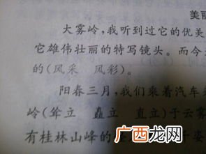 风采是什么意思,风采才华是什么意思?