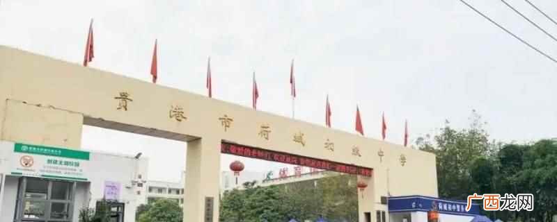 贵港市荷城中学是市教育局直属初级中学 贵港荷城初中招生范围