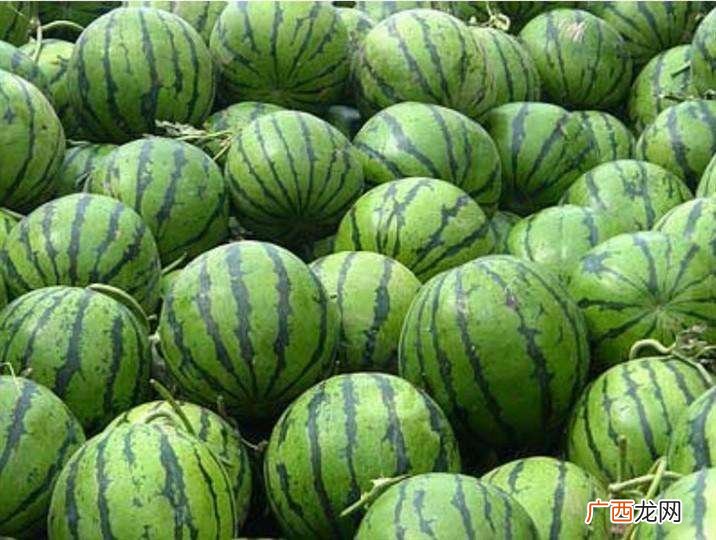 沈阳好吃又能带走的十种美食排行 沈阳特产有哪些土特产