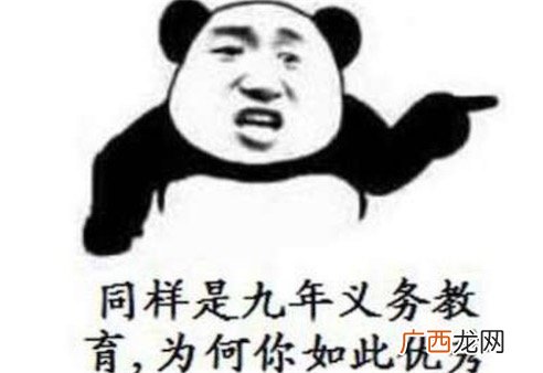 同九义何汝秀是什么意思什么梗 同样是九年义务教育，为何你这么优秀