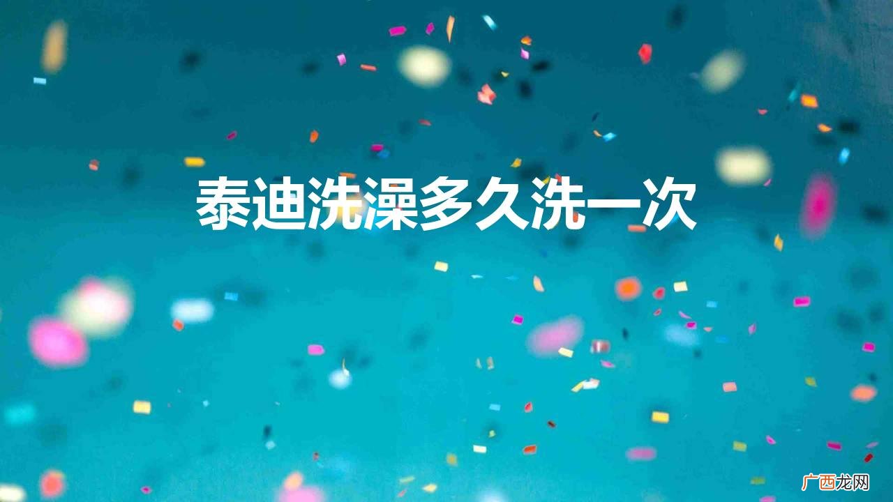 泰迪洗澡多久洗一次