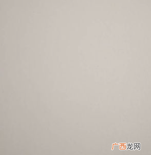 如何去除霉斑霉迹,皮包上有霉点和白点，用什么方法可以去除？