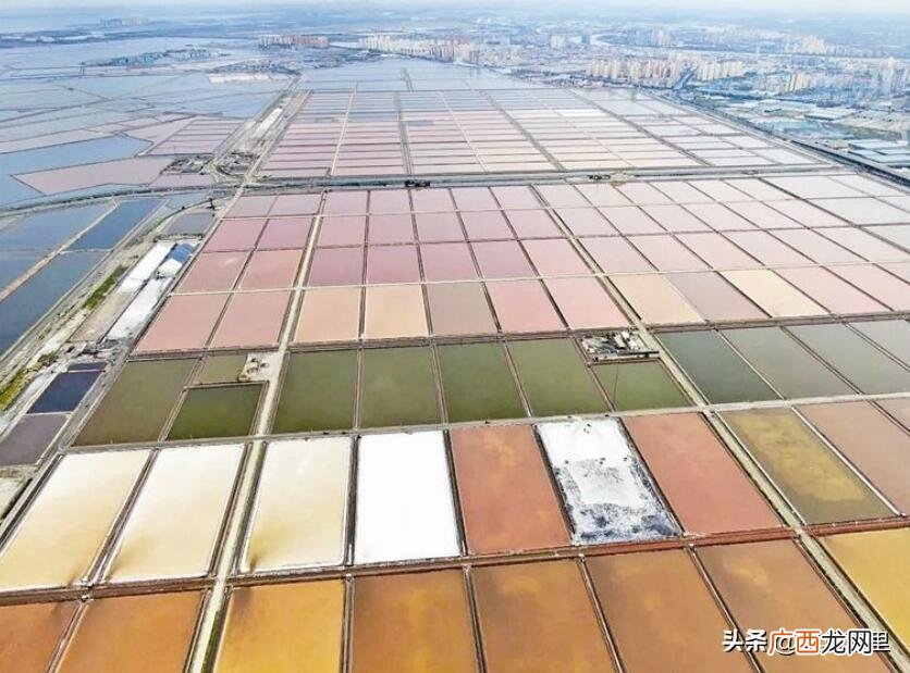江苏盐城人口、经济及区划格局情况 盐城有几个区几个县