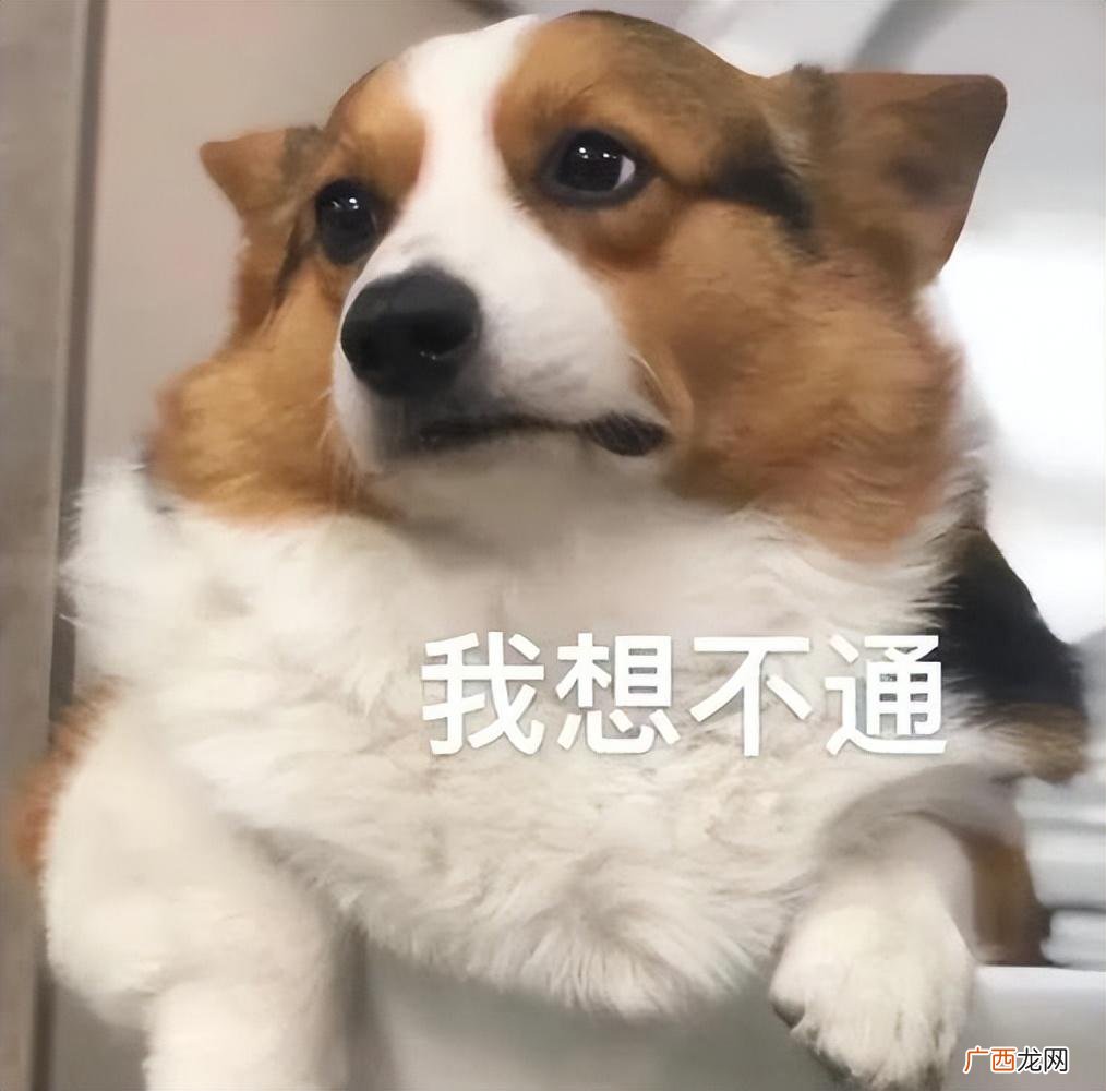 狗为啥会和它妈妈近亲繁殖？ 狗会近亲繁育吗