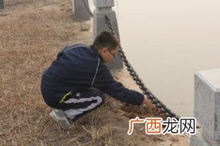 放风是什么意思,放风什么意思网络？