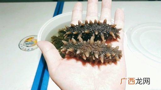 干海参如何泡发,如何泡发海参干？
