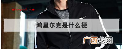 鸿星尔克是什么梗
