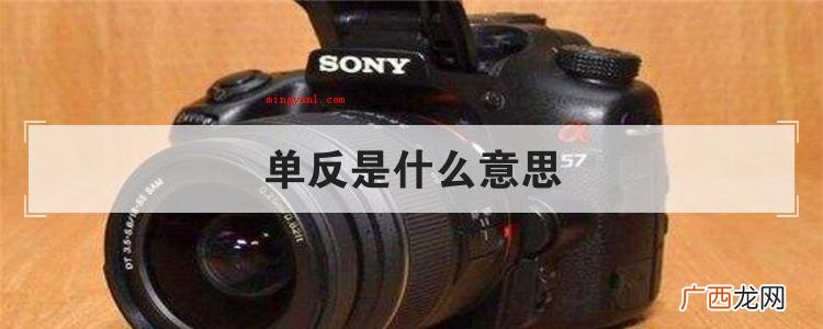 单反是什么意思