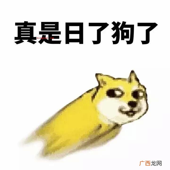 日决是什么意思