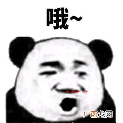 日决是什么意思
