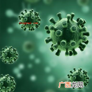 新冠病毒英文名是什么?