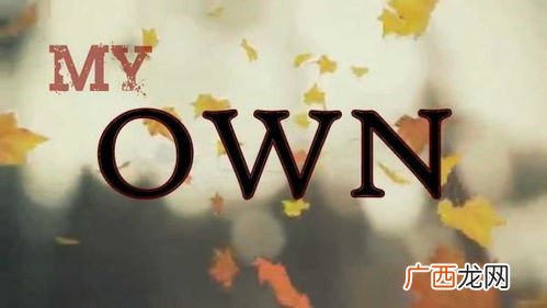 own是什么意思,myown是什么意思？