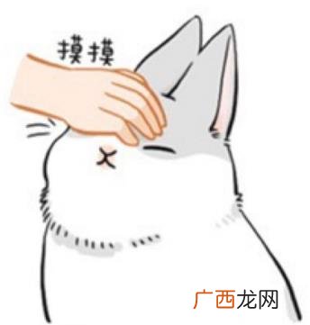 摸头杀是什么意思？撩妹必杀技：摸头把追求女生给秒杀拿下