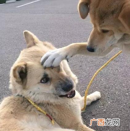 摸头杀是什么意思？撩妹必杀技：摸头把追求女生给秒杀拿下