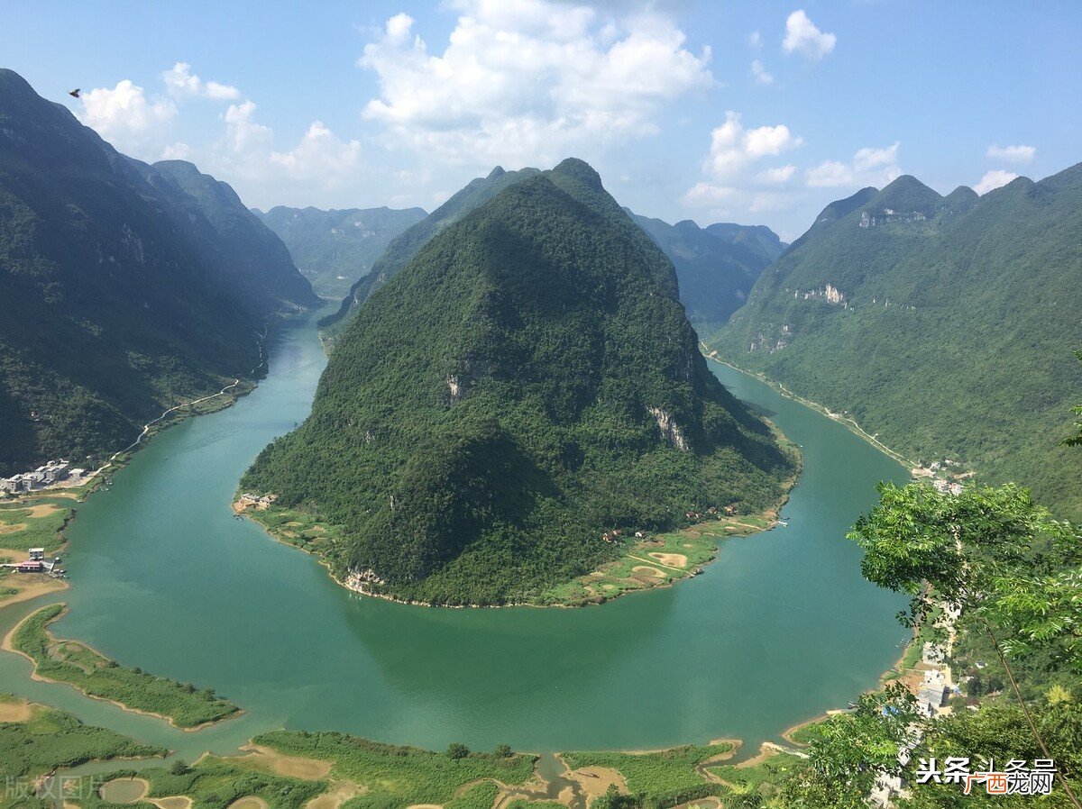 简单介绍一下芝麻剑鱼 芝麻剑鱼国家二级保护动物