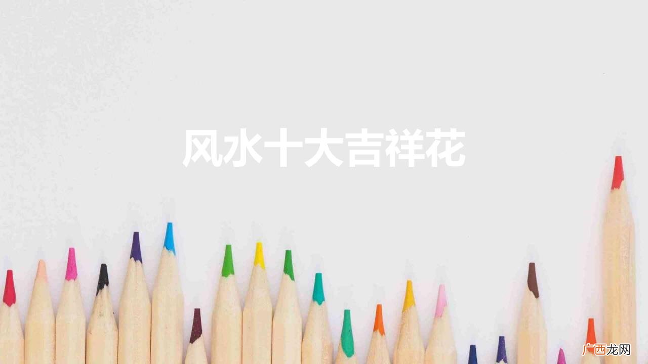 10种招财花养家里有吉祥好兆头 风水十大吉祥花