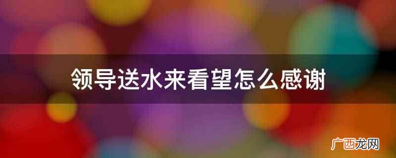 感谢领导,在炎炎夏日给大家送来清凉 领导送水来看望怎么感谢