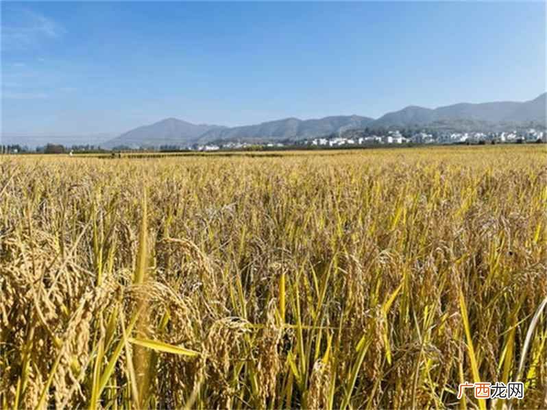 一亩地大约是66 一亩地等于多少平方米