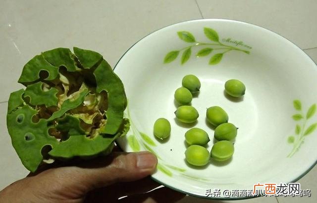莲蓬怎么吃,如何剥吃莲蓬？