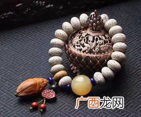 菩提是什么意思?,佛教中的菩提指的是什么意思？