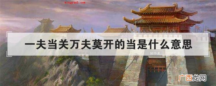 一夫当关万夫莫开的当是什么意思