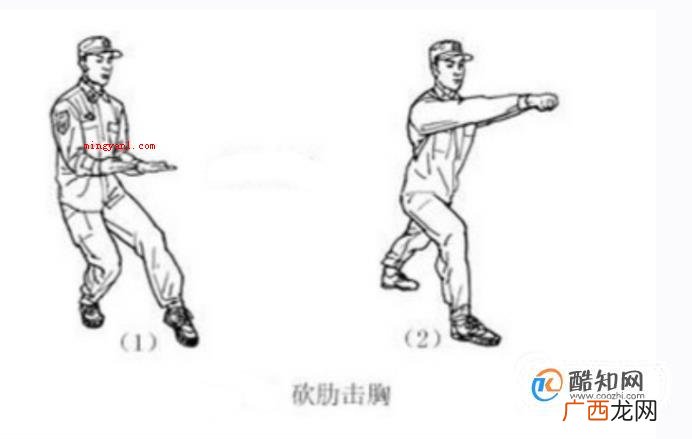 擒敌拳十六动图解