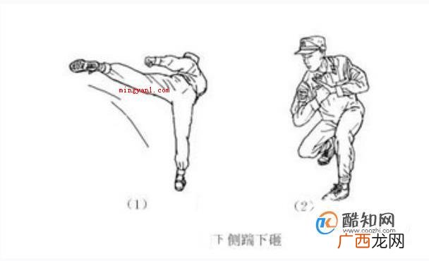 擒敌拳十六动图解