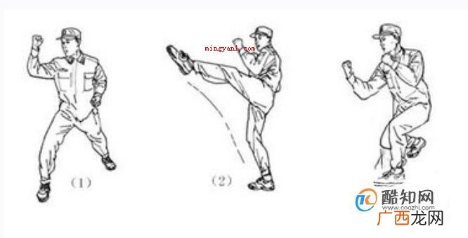 擒敌拳十六动图解