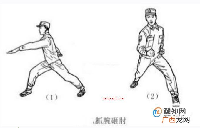 擒敌拳十六动图解