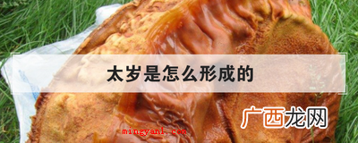 太岁是怎么形成的