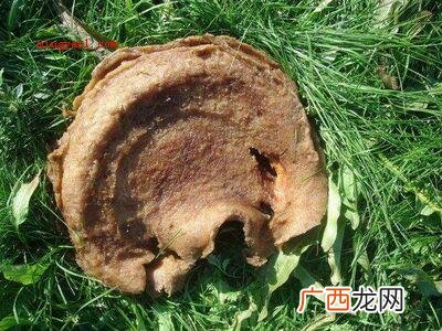 太岁是怎么形成的