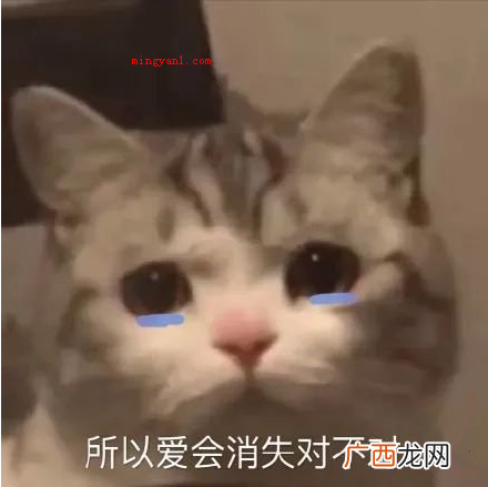“所以爱会消失对不对”是什么梗？