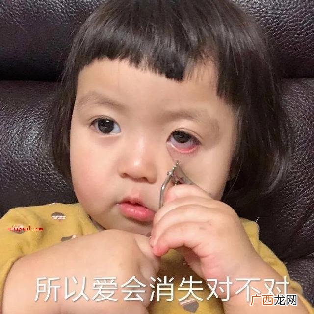 “所以爱会消失对不对”是什么梗？