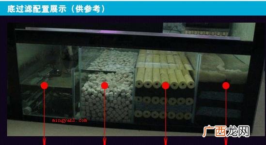 硝化菌的正确使用方法