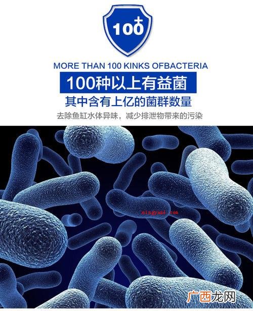 硝化菌的正确使用方法