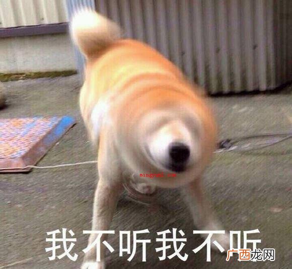 尿尿的正确读音是什么？