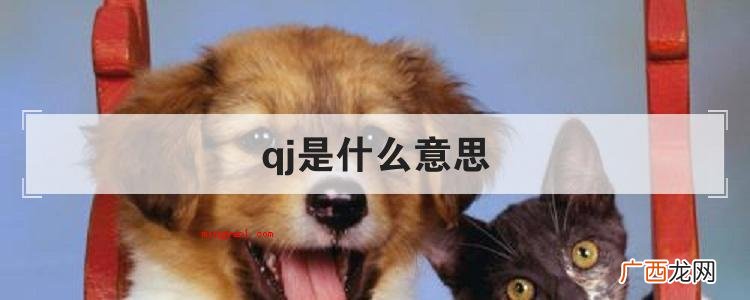 qj是什么意思