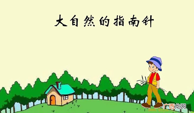 大自然的指南针都有什么，怎样辨别方 天然的指南针有哪些