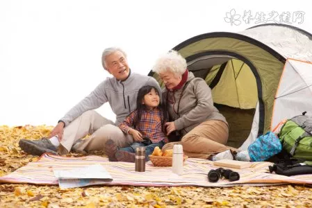 泥蒿叶子能吃吗 只是叶子口感比茎差多了 泥蒿叶子能吃吗泥蒿叶子好吃吗