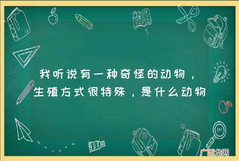 我听说有一种奇怪的动物，生殖方式很特殊，是什么动物？