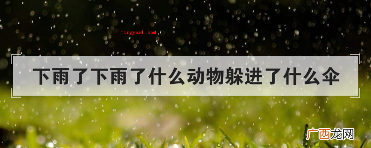 下雨了下雨了什么动物躲进了什么伞