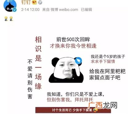 钉钉本钉在线求饶是什么意思什么梗 钉钉在线求饶的含义及出处